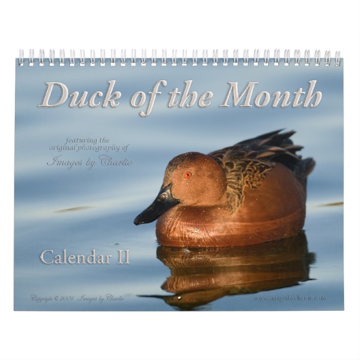 2021 Duck Wall Calendar (or Any Start Date) | Zazzle.com