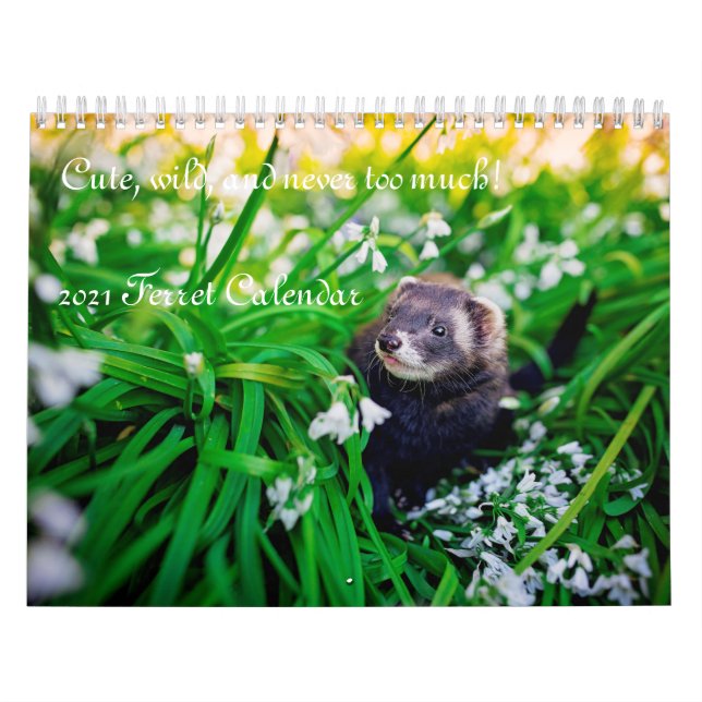 2021 Ferret Calendar (Cover)