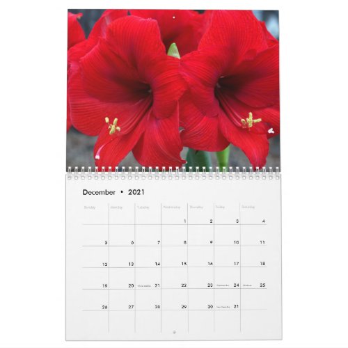 2021 From Lins Garden Calendar