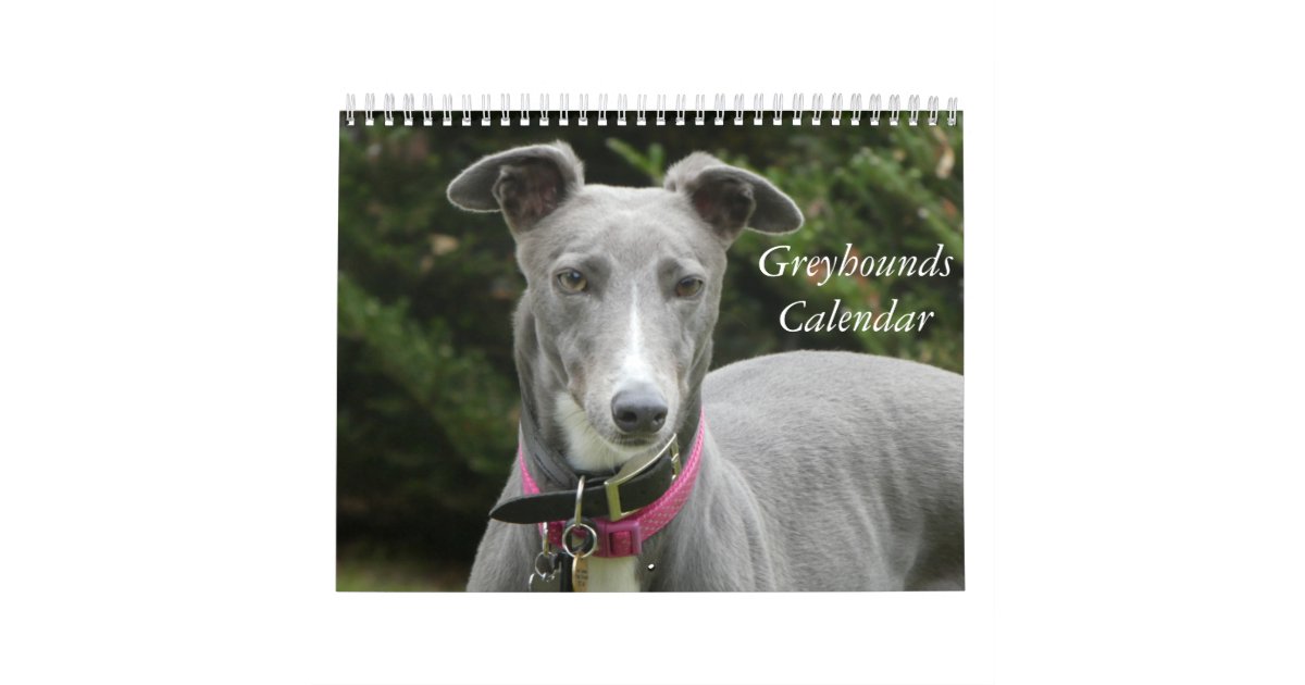 2021 Greyhounds calendar