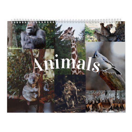 2021 HomeOffice Wall Calendar Animal Calendar