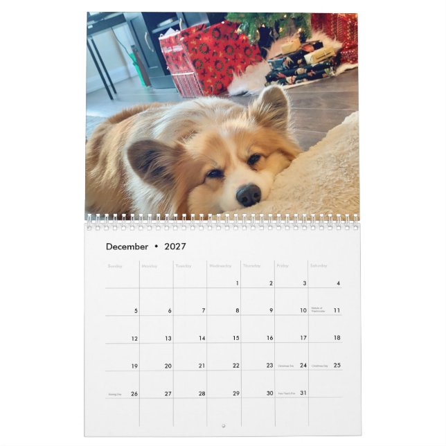 2021 Hudson the Fluffy Corgi Calendar (Dec 2027)