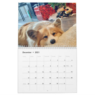 2021 Hudson the Fluffy Corgi Calendar
