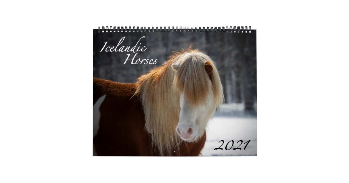 2021 Icelandic Horse Calendar Zazzle
