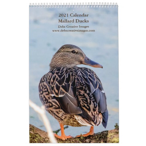 2021 Mallard Ducks Calendar