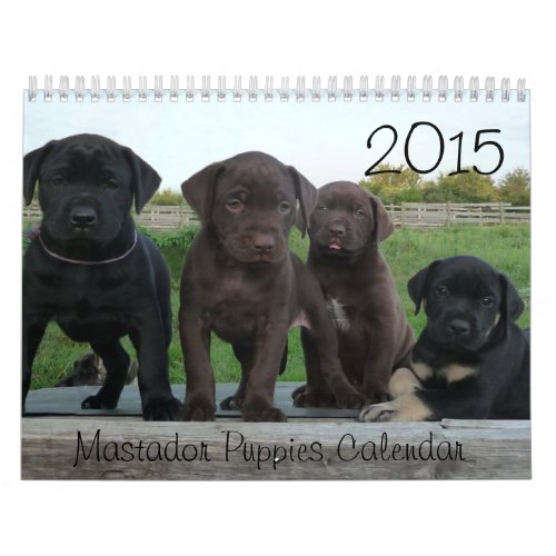 2021 Mastador Puppies Calendar