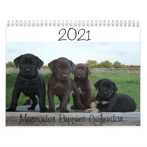2021 Mastador Puppies Calendar