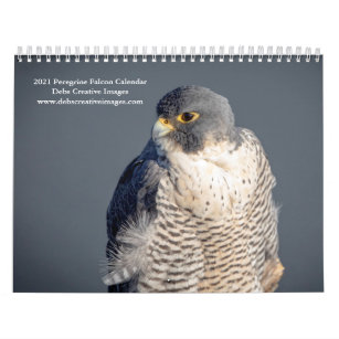 2021 Peregrine Falcon Calendar