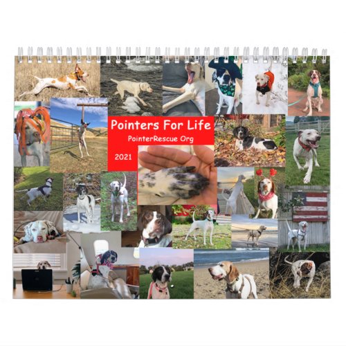 2021 Pointers For Life Calendar from PointerRescue
