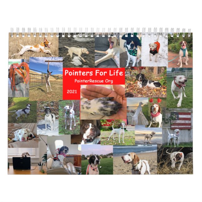 2021 Pointers For Life Calendar from PointerRescue