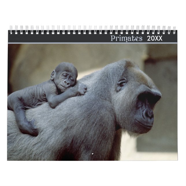2021 Primates Wildlife Photography Calendar (Cover)