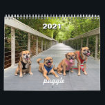 2021 Puggle Calendar<br><div class="desc">4 puggles adventures made into a calendar</div>
