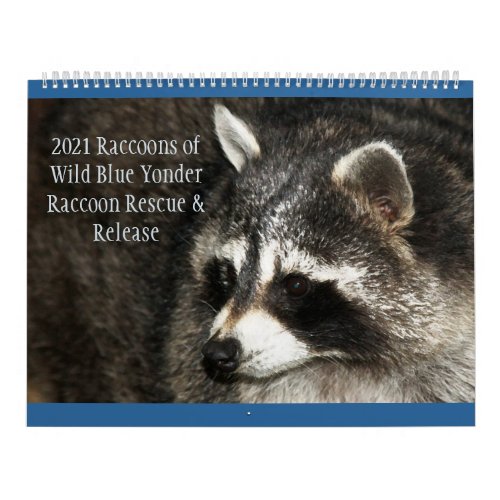 2021 Raccoons of Wild Blue Yonder Calendar