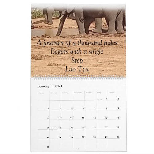 2021 Safari Calendar