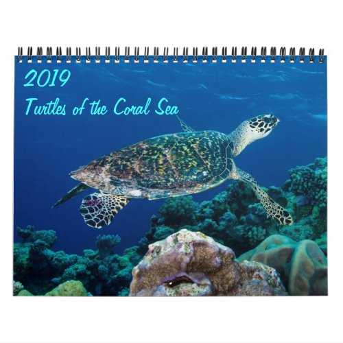 2021 Sea Turtles of the Coral Sea Calendar