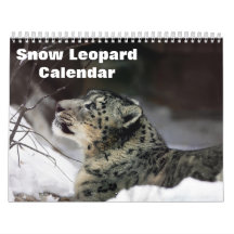Leopard 2020 Wall Calendar ID:10839