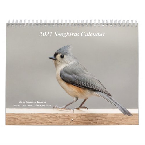 2021 Songbirds Calendar