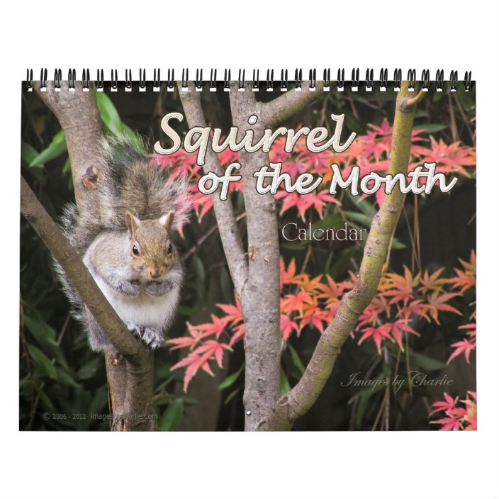 2021 Squirrel Wall Calendar Or Choose Start Date Zazzle Com funny squirrel calendar 2021