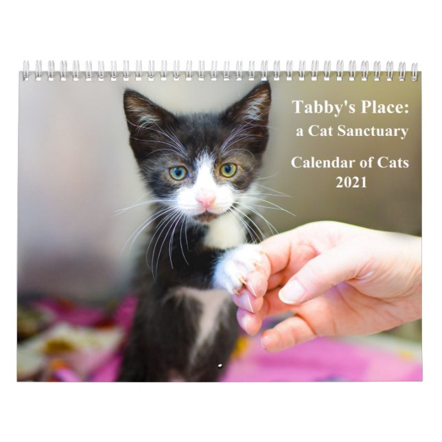 2021 Tabby's Place Calendar (Cover)