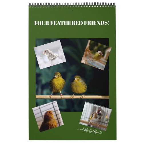 2021 Wall Calendar Cute Birds Pets Canary