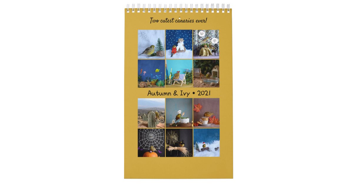 2021 Wall Calendar Cute Birds Pets Canary | Zazzle