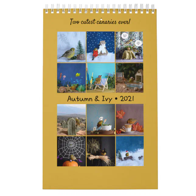 2021 Wall Calendar Cute Birds Pets Canary | Zazzle