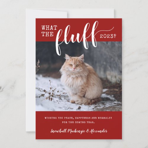 2021 What the Fluff Funny Pet Cat Photo Holiday Card