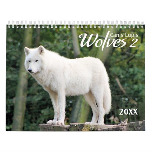 2021 Wolves 2 Wildlife Photography Calendar