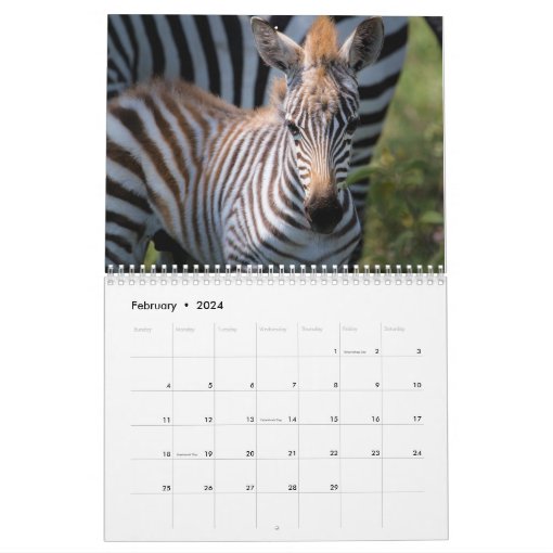 2021 Zebra Love Calendar | Zazzle