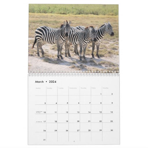 2021 Zebra Love Calendar | Zazzle