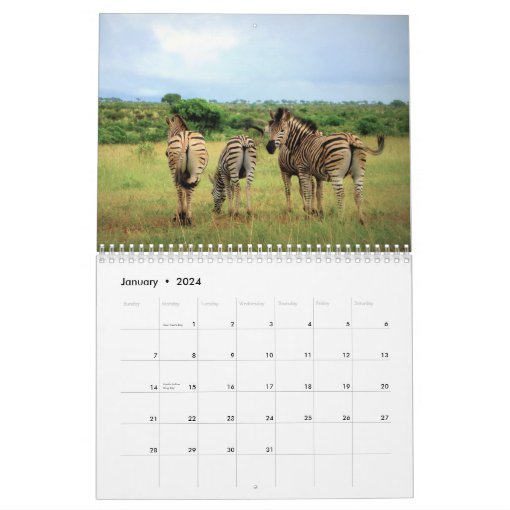 2021 Zebra Love Calendar | Zazzle