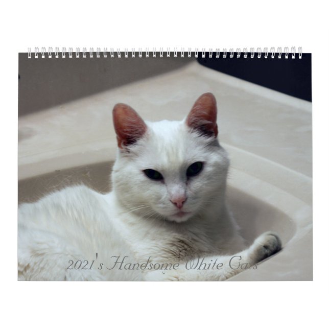 2021's Handsome White Cats Calendar (Cover)