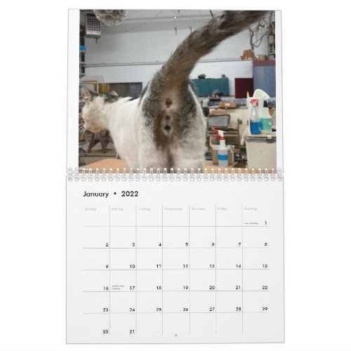 20222 Cat Butt Calendar