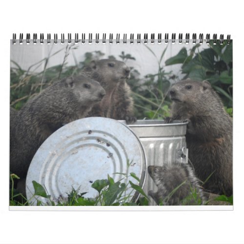 2022 12 Month Groundhog Photo Wall Calendar
