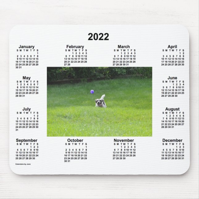 2022 Ball Playing Dog Photo Calendar by Janz Mouse Pad (Front)