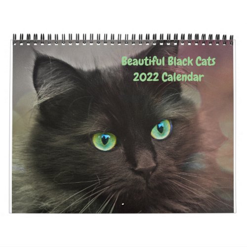 2022 Beautiful Black Cats 12_month Wall Calendar