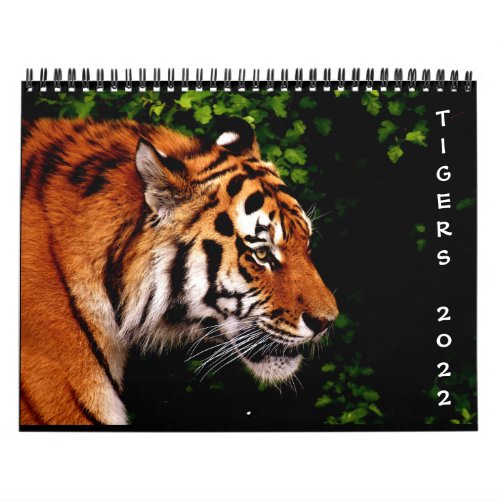 2022 Beautiful Wild Tigers 12_Month Wall Calendar