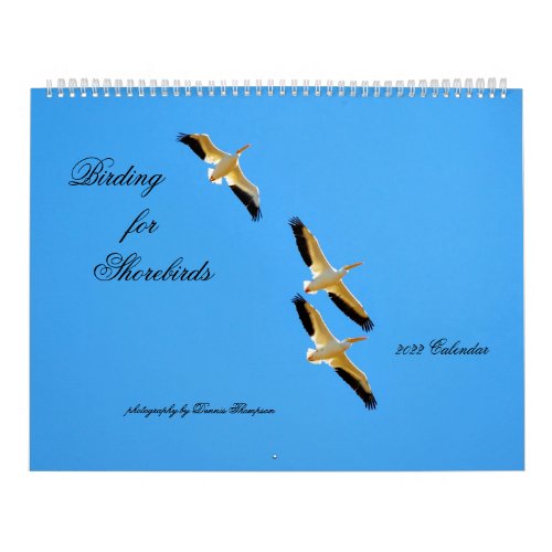 2022 Birding for Shorebirds Calendar