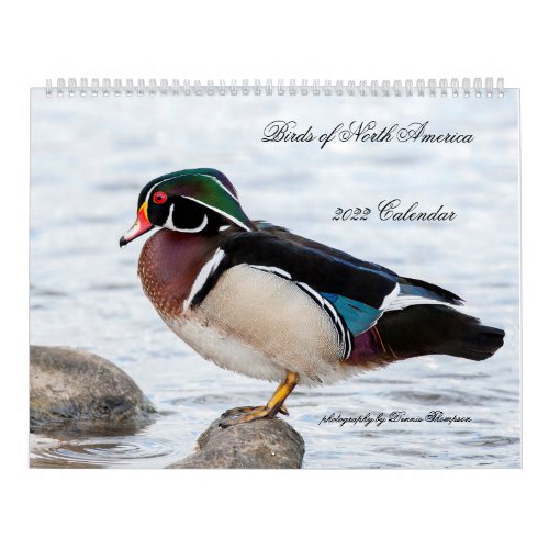 2022 Birds of North America Calendar