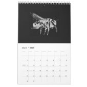 2022 Black and White minimalist Style Insects 2022 Calendar (Mar 2025)