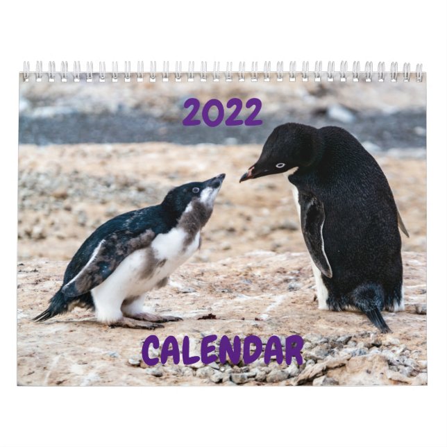 2022 Calendar - Antarctica (Cover)