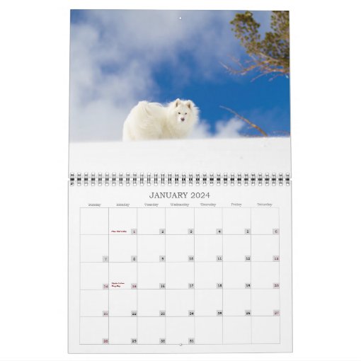 2022 Coconut Rice Bear Calendar Zazzle