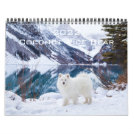 2022 Coconut Rice Bear Calendar 2022 Coconut Rice Bear Calendar