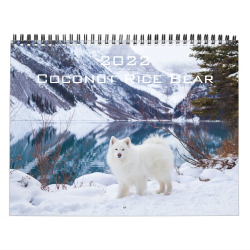 2022 Coconut Rice Bear Calendar