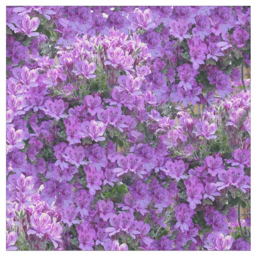 2022 color of the year _ Violet_ Pink Pelargoniums Fabric