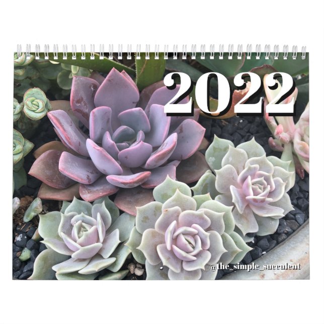 2022 Colorful Succulent Plant Calendar (Cover)