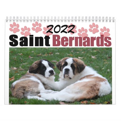 2022 Cute Dog Breed Saint Bernard Puppy Calendar