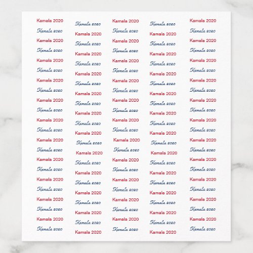 2022  Election Candidate Template Step and Repeat Envelope Liner