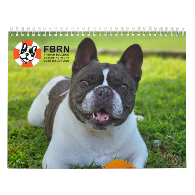 2022 FBRN French Bulldog Calendar | Zazzle