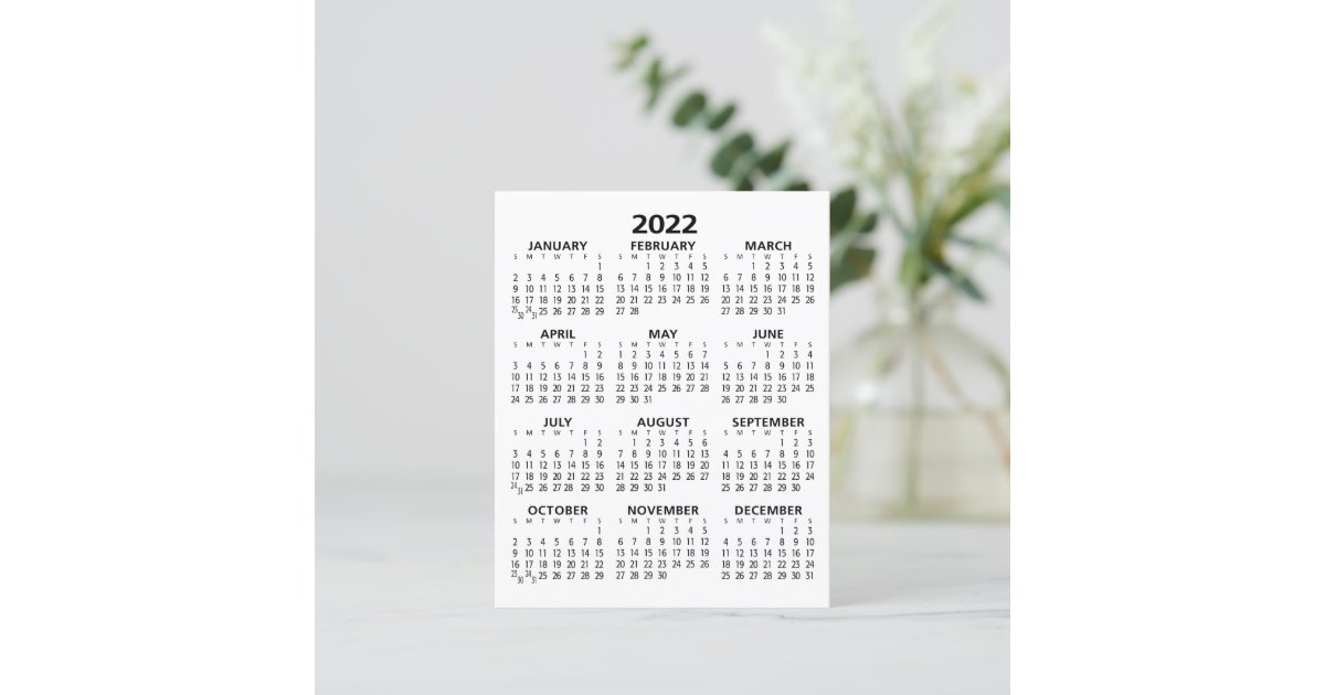 2022 Full Year View Calendar - Basic Minimal | Zazzle.com